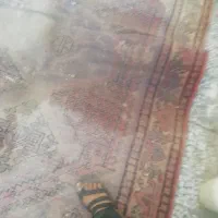 قالیچه دست باف قدیمی|فرش|اصفهان, جاوان|دیوار