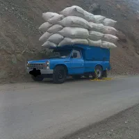 کاه گندم نرم و کاه لوبیا تحویل درب دامداری