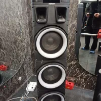 باند مارک دنای دوقلو