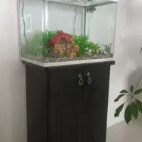 آکواریوم شیشه خم و آکواریوم شرکتی همراه لوازم کامل