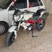 بنلی 150 tnt