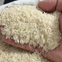 برنج هاشمی سورت شده درجه یک ۱۴۰۴|خوردنی و آشامیدنی|لاهیجان, امیرشهید|دیوار