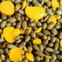 فروش ترشی گلک موسیر و غنچه گلک کاملا بهداشتی