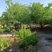 ملک و زمین