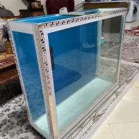 آکواریوم|ماهی|تهران, مشیریه|دیوار