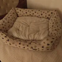 تشک سگ