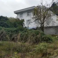 لنگرود ۲۵۰ متر زمین