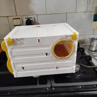 قفس قناری لانه عروس