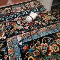 لوازم جانبی