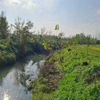 زمین باغ ویلا گیلان رشت خمام