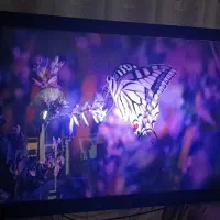 تابلو|تابلو، نقاشی، عکس|کرمانشاه, |دیوار