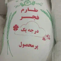 برنج شمال طارم فجر