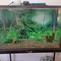 اکواریوم معاوضه