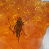 خریدار سنگهای قیمتی|جواهرات|تهران, پاسداران|دیوار