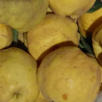 بهه محلی زرد و خوش طعم و درجه یک|خوردنی و آشامیدنی|بانه, |دیوار