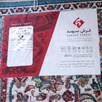 فرش ۶ متری|فرش|شیراز, شهرک مطهری|دیوار