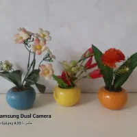 گل و گلدان|گل مصنوعی|تهران, سید خندان (جلفا)|دیوار