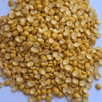 انواع لپه درجه یک آذرشهر