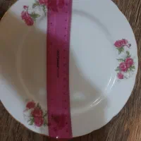 ۶ عدد پیش دستی گل سرخی|ظروف سرو و پذیرایی|تهران, علم و صنعت|دیوار