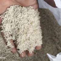 برنج فجر سوزنی|خوردنی و آشامیدنی|مزرعه کتول, |دیوار