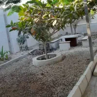 باغ ویلا اجاره شبانه درروستای دفاری ۵دقیقه ای شهر|اجارهٔ کوتاهمدت ویلا و باغ|قشم, |دیوار