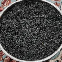بذر پیاز مینروا