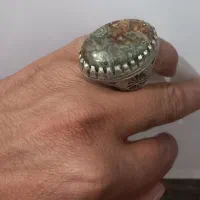 قول پیکرشجردریایی