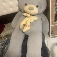 شاسخین|اسباببازی|همدان, |دیوار