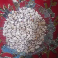 لوبیا چیتی و قرمز