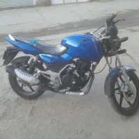 پالس تمیزسرحال مزایده