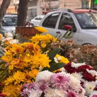 ادمین تولید محتوا
