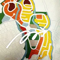 زمین فاز ۱ محله ۴ سازمان بازرسی