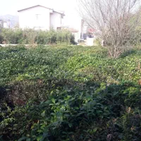 فروش-زمین-با-موقعیت-عالی