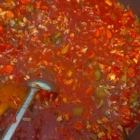 سالاد فصل گوجه ای شوری|خدمات پذیرایی، مراسم|زاهدان, |دیوار