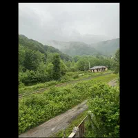 اجاره ویلا جنگلی /کلبه سوئیسی|اجارهٔ کوتاه‌مدت ویلا و باغ|شیرگاه, |دیوار