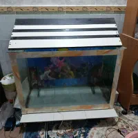 فروش وسایل خانه|ماشین لباسشویی و خشک‌کن لباس|قشم, |دیوار