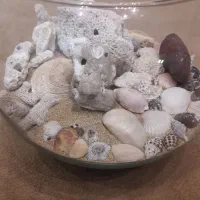 ماهی اکواریوم