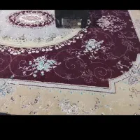 قالی ۹ متری زرشکی