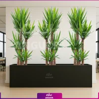 انجام کلیه خدمات کشاورزی مهریز و یزد|خدمات باغبانی و درختکاری|مهریز, |دیوار