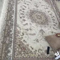 فرش ۶ متری|فرش|تهران, تهرانسر مرکزی|دیوار
