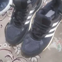 کاپشن تمیز|لباس|پاکدشت, پاکدشت (مامازند)|دیوار