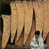 نیرو جوان کاری