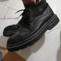 کفش در حدنو