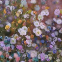 راهنمایی چشم