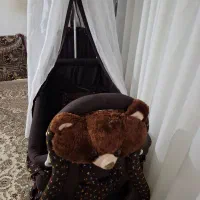 گهواره تخت