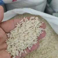 برنج مازندران