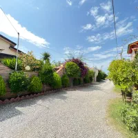 219-متری-بافت-کامل-مسکونی-سند-تک-برگ