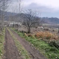 فروش زمین باغی۴۰۰۰متری/بر اسفالت/اطاقور|فروش زمین و ملک کلنگی|اطاقور, |دیوار