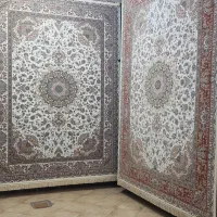 به یک فروشنده در مغازه فرش فروشی نیازمندیم