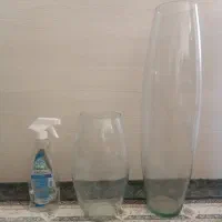 گلدان یا تنگ شیشه ای